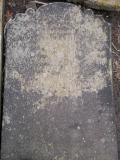 image of grave number 81931